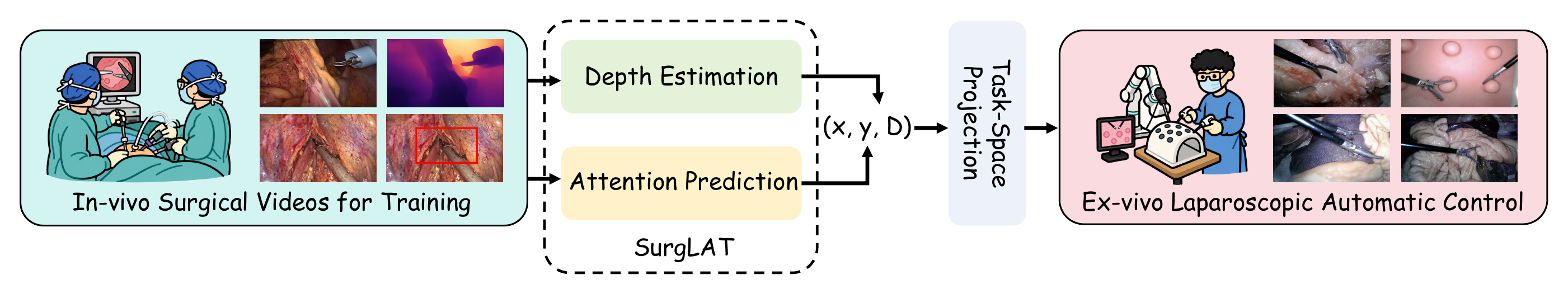 SurgLAT introduction overview